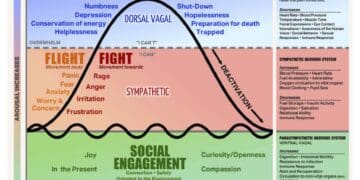 Mind-Body Psychotherapy: A whole person approach to emotional, psychological and relational support.